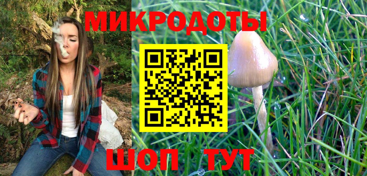 Галлюциногенные грибы Magic Shrooms Курганинск