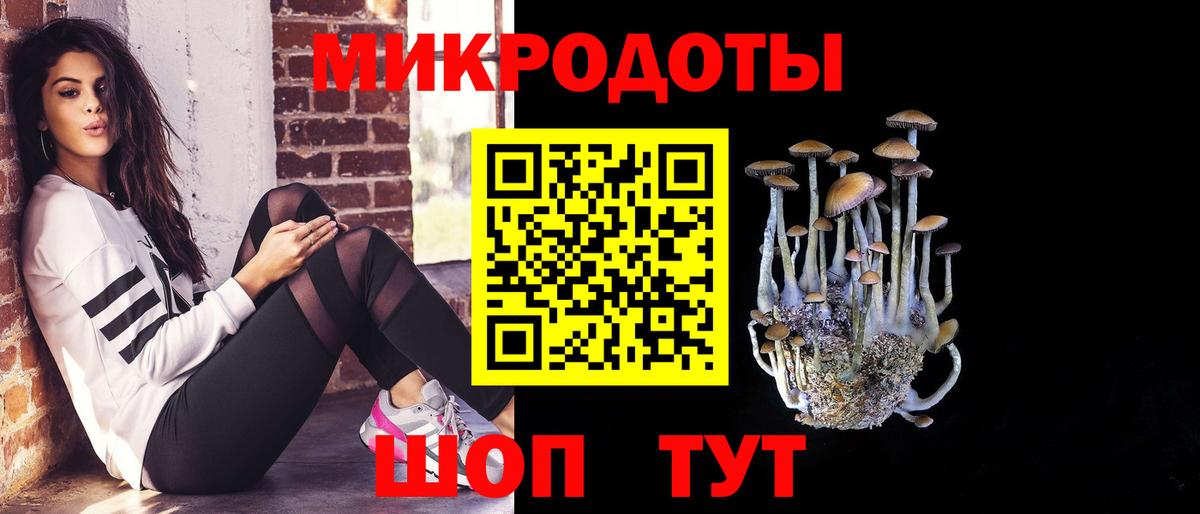 Галлюциногенные грибы Magic Shrooms  Вход с VPN  Курганинск 